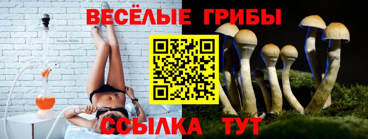 Семилуки  Галлюциногенные грибы Magic Shrooms  Вход с VPN 